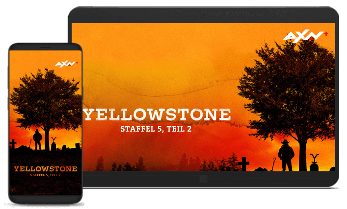 Modernes Fernsehen mit IPTV